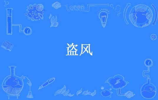 盗风(宛若新衣所著小说)