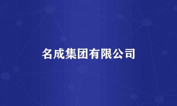 名成集团有限公司