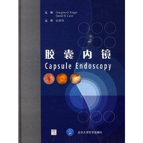 胶囊内镜（2009年北京大学医学出版社出版的图书）