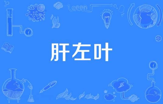 肝左叶