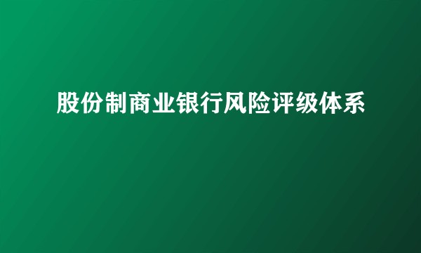 股份制商业银行风险评级体系