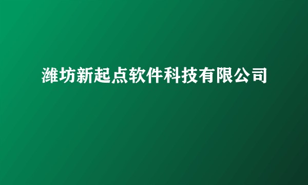 潍坊新起点软件科技有限公司