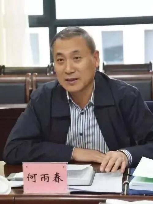 何雨春（内蒙古自治区人大财政经济委员会副主任委员）
