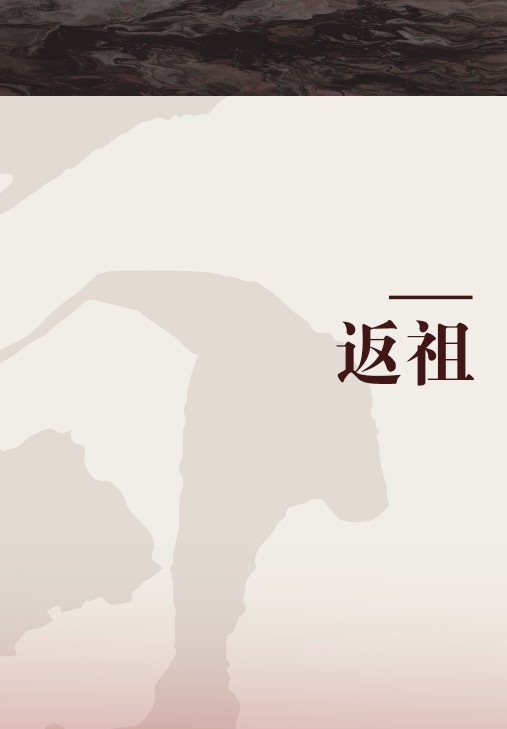 返祖(2006年接力出版社出版的图书)
