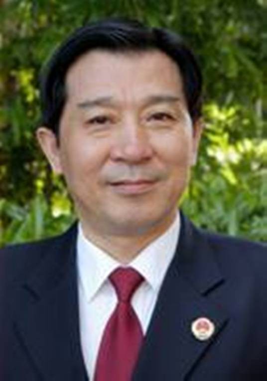 徐汉明（湖北省人民检察院原党组副书记、教授）