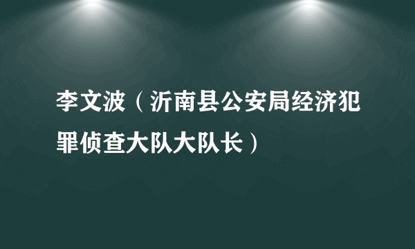 李文波（沂南县公安局经济犯罪侦查大队大队长）