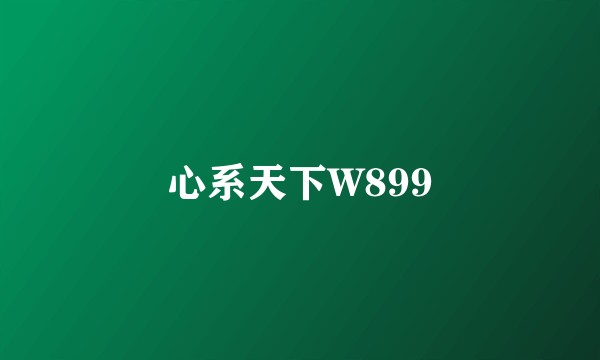 心系天下W899