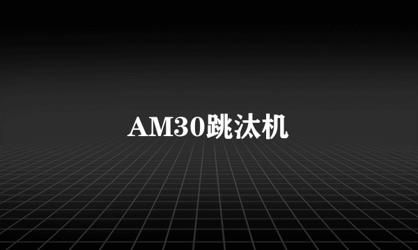 AM30跳汰机