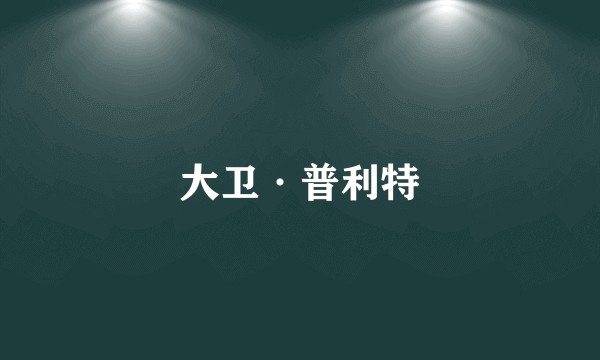大卫·普利特