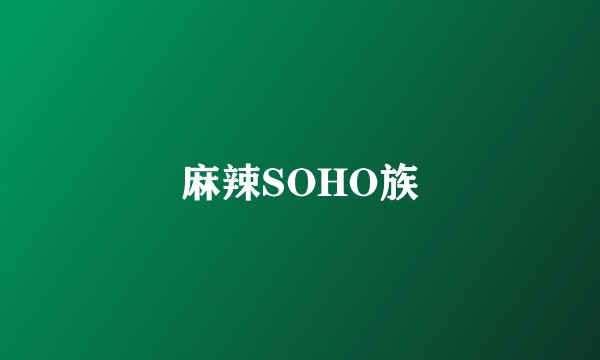 麻辣SOHO族