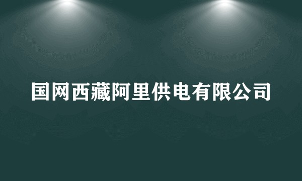 国网西藏阿里供电有限公司