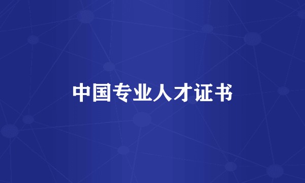 中国专业人才证书