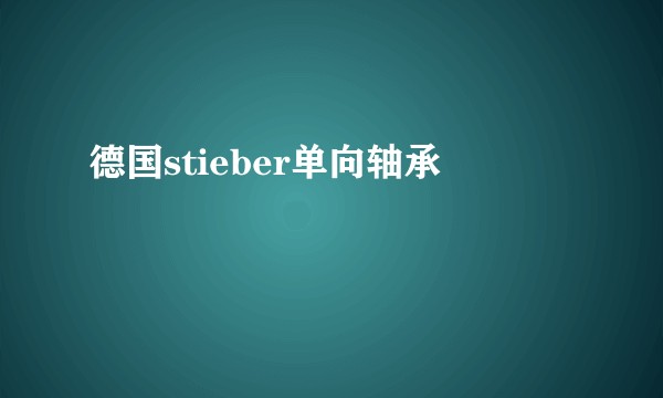 德国stieber单向轴承