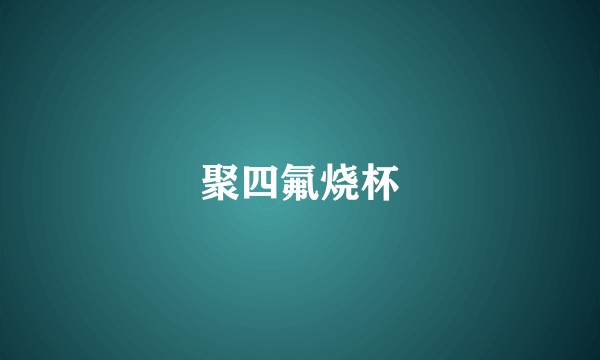 聚四氟烧杯