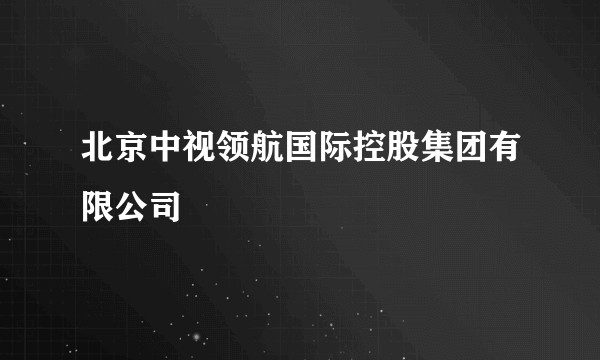 北京中视领航国际控股集团有限公司