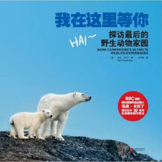 我在这里等你（北京联合出版公司出版图书）