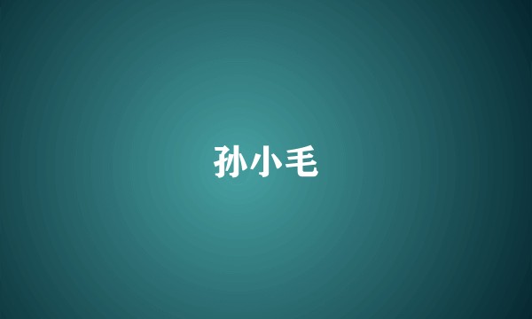 孙小毛