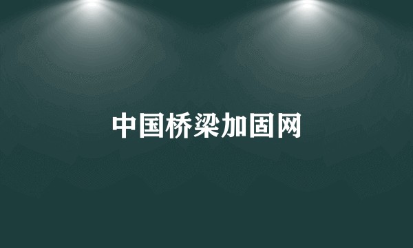 中国桥梁加固网
