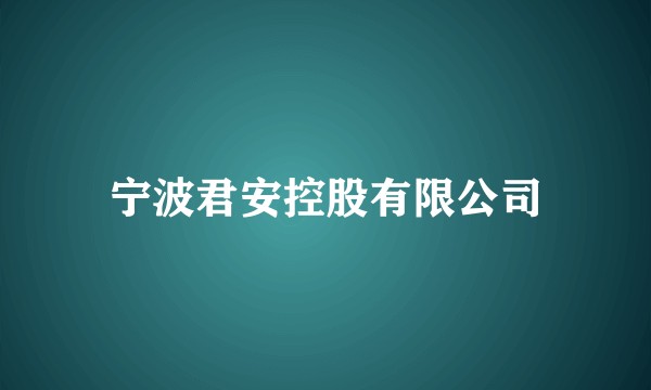 宁波君安控股有限公司