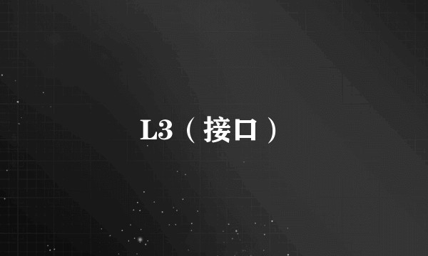 L3（接口）