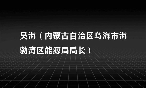 吴海（内蒙古自治区乌海市海勃湾区能源局局长）