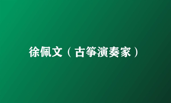 徐佩文（古筝演奏家）