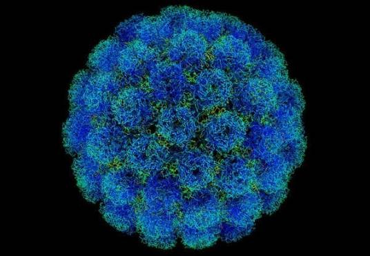 HIV病毒基因检测系统
