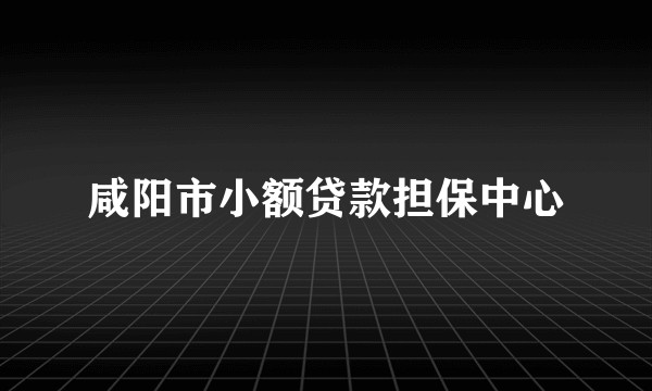 咸阳市小额贷款担保中心