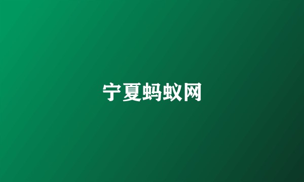 宁夏蚂蚁网