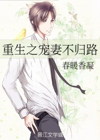 重生之宠妻不归路