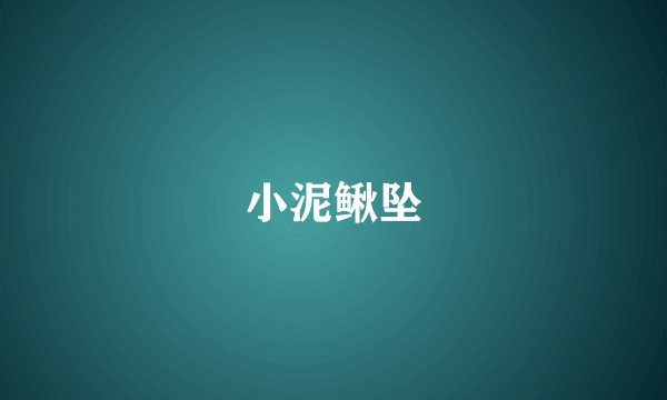 小泥鳅坠