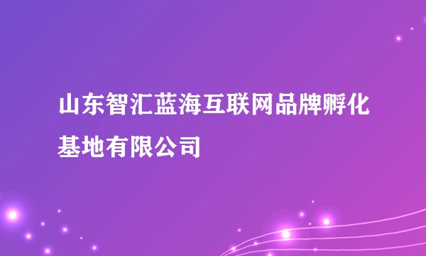山东智汇蓝海互联网品牌孵化基地有限公司