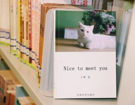 nice to meet you(2018年四季出版社出版的图书)