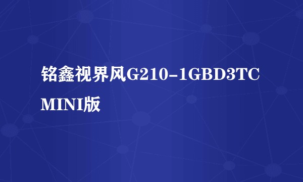 铭鑫视界风G210-1GBD3TC MINI版