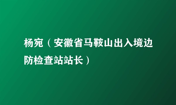 杨宛（安徽省马鞍山出入境边防检查站站长）