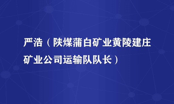 严浩（陕煤蒲白矿业黄陵建庄矿业公司运输队队长）