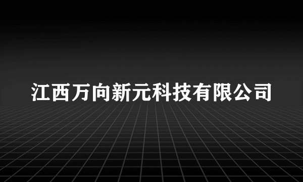 江西万向新元科技有限公司