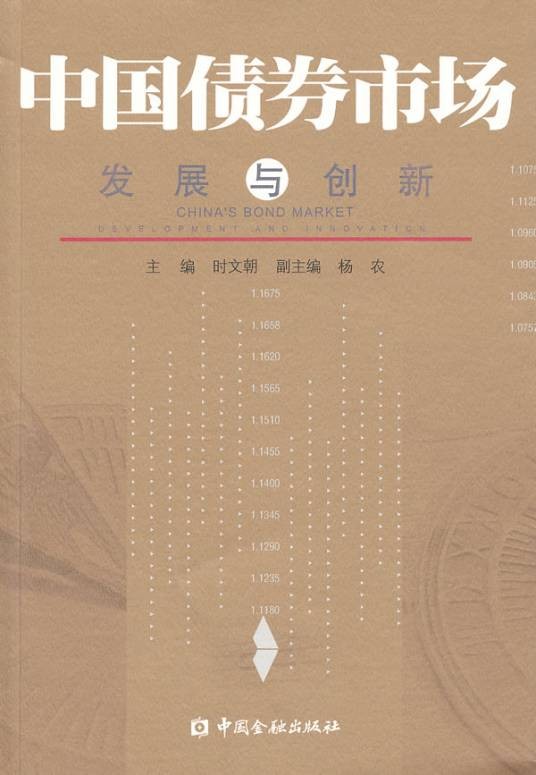 中国债券市场（2010年北京大学出版社出版的图书）