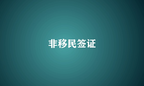 非移民签证