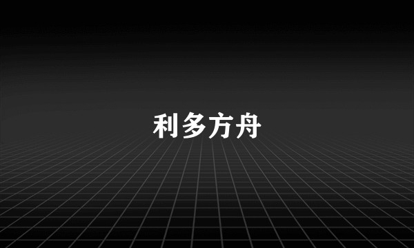 利多方舟