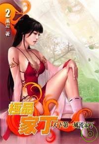 极品家丁卷二