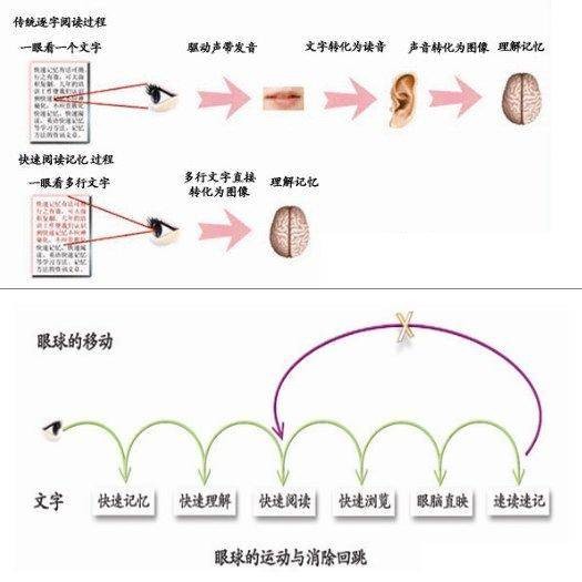 速读记忆