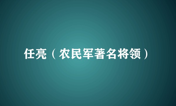 任亮（农民军著名将领）
