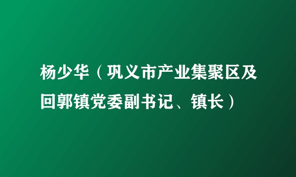 杨少华(巩义市产业集聚区及回郭镇党委副书记、镇长)