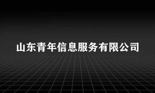 山东青年信息服务有限公司