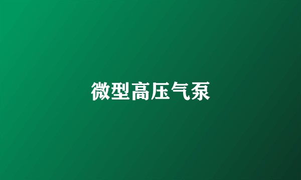 微型高压气泵