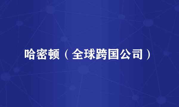 哈密顿（全球跨国公司）