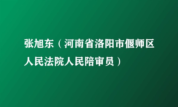 张旭东（河南省洛阳市偃师区人民法院人民陪审员）