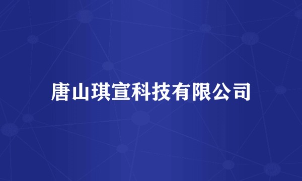 唐山琪宣科技有限公司