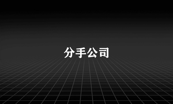 分手公司